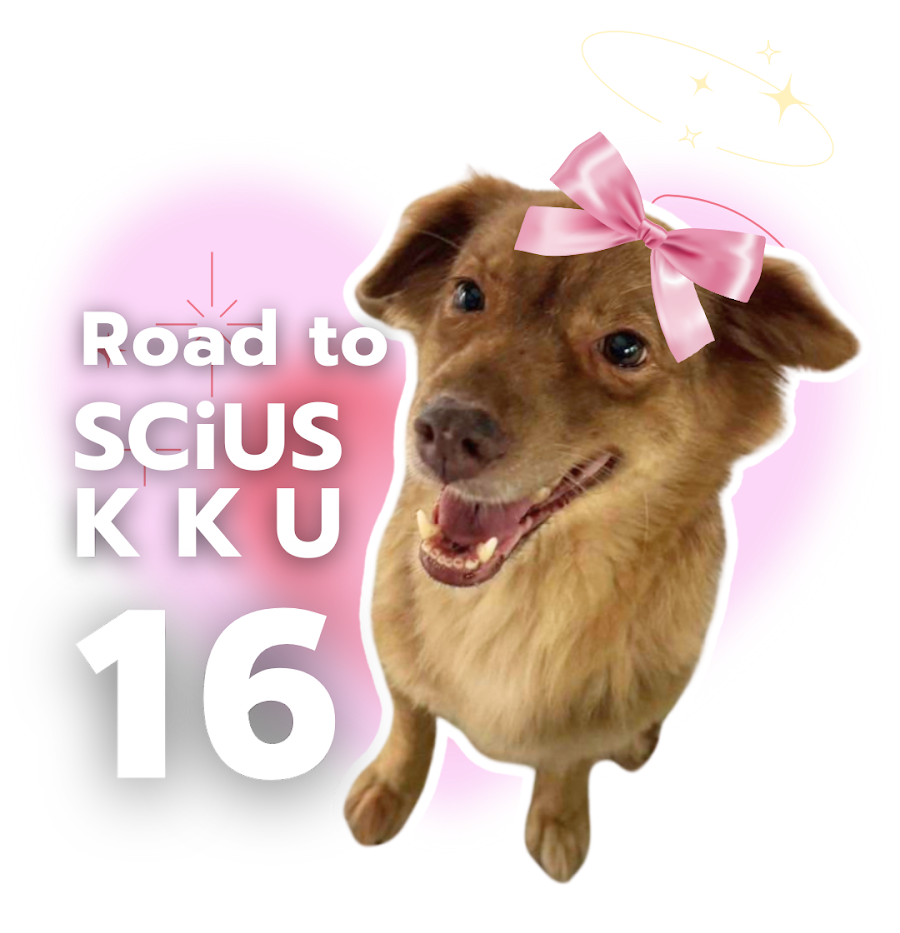 Road to 16